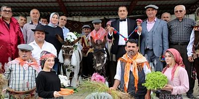 Antalya'da eşeklere nikah kıyıp düğün yaptılar!