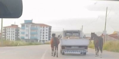 Bursa'da atları kasalı aracının arkasına bağlayıp kilometrelerce koşturdu!