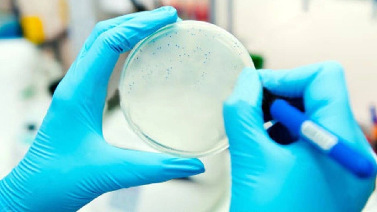 Antibiyotik direncinin tehdit ettiği 8 ölümlü bakteri