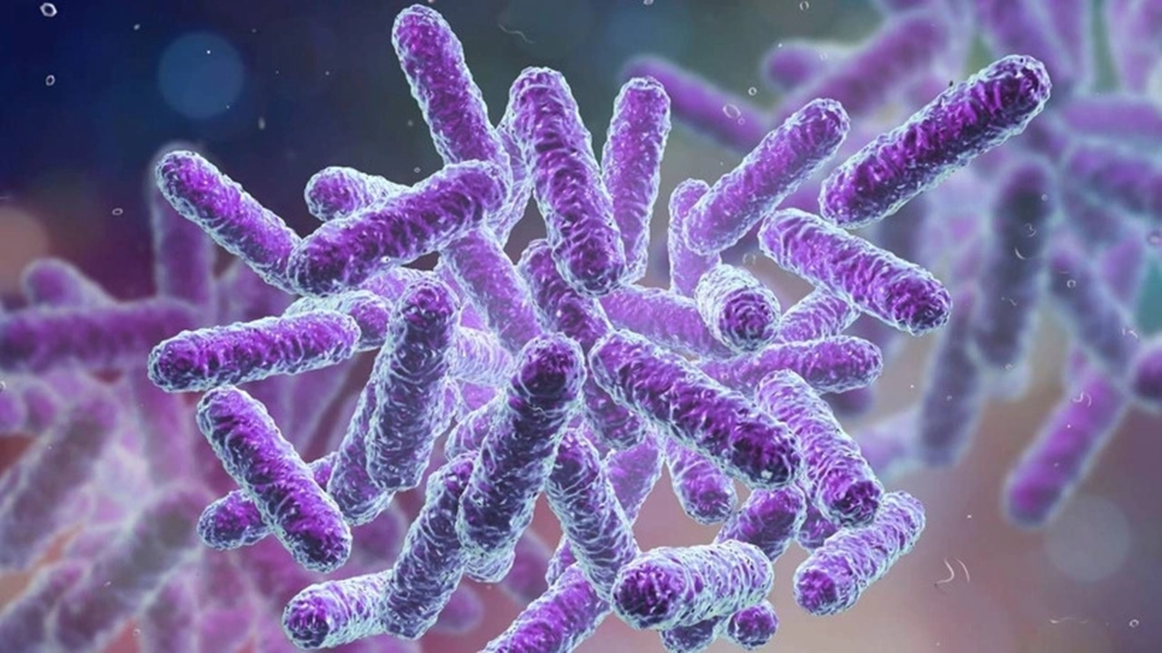 Antibiyotik direncinin tehdit ettiği 8 ölümlü bakteri