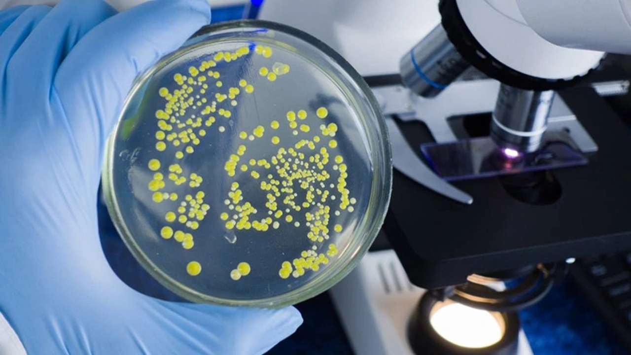 Antibiyotik direncinin tehdit ettiği 8 ölümlü bakteri