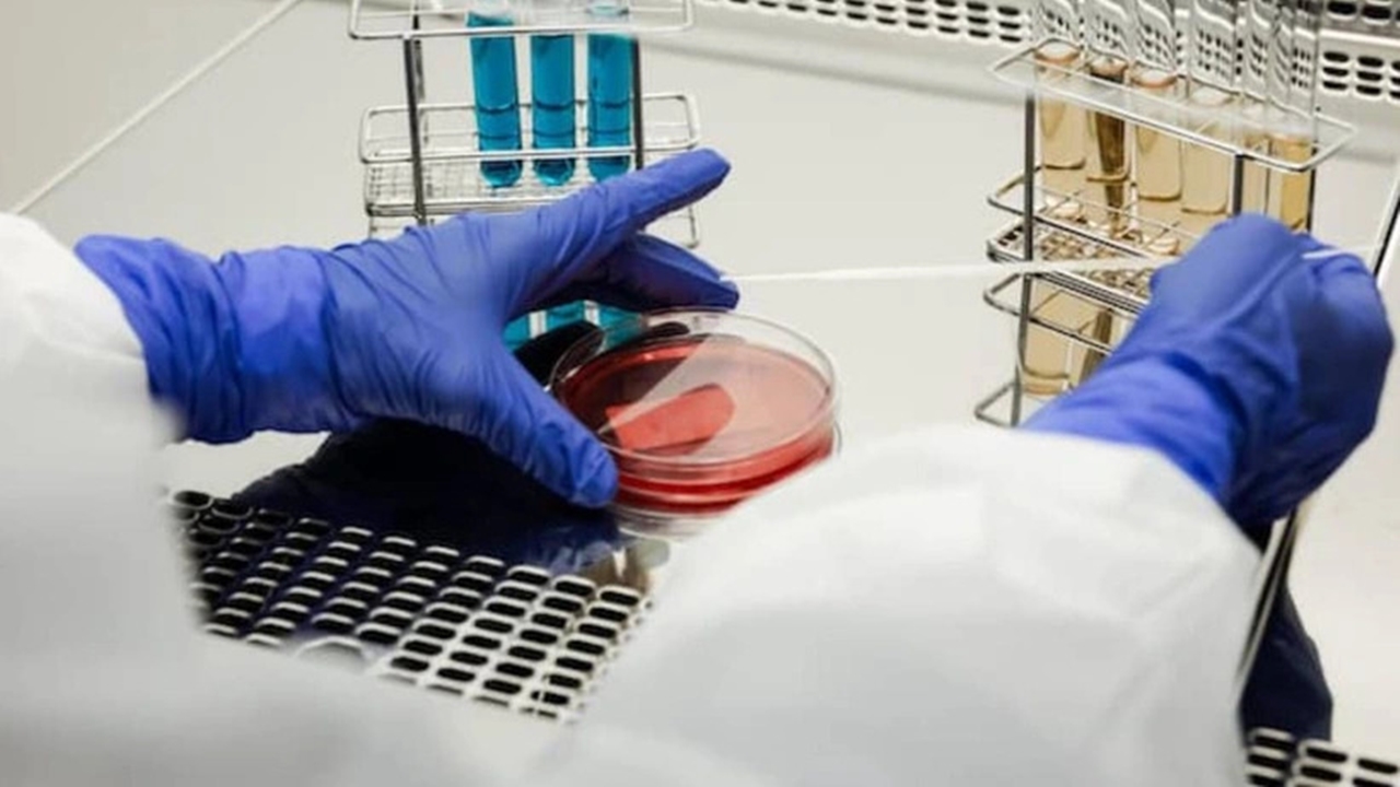 Antibiyotik direncinin tehdit ettiği 8 ölümlü bakteri