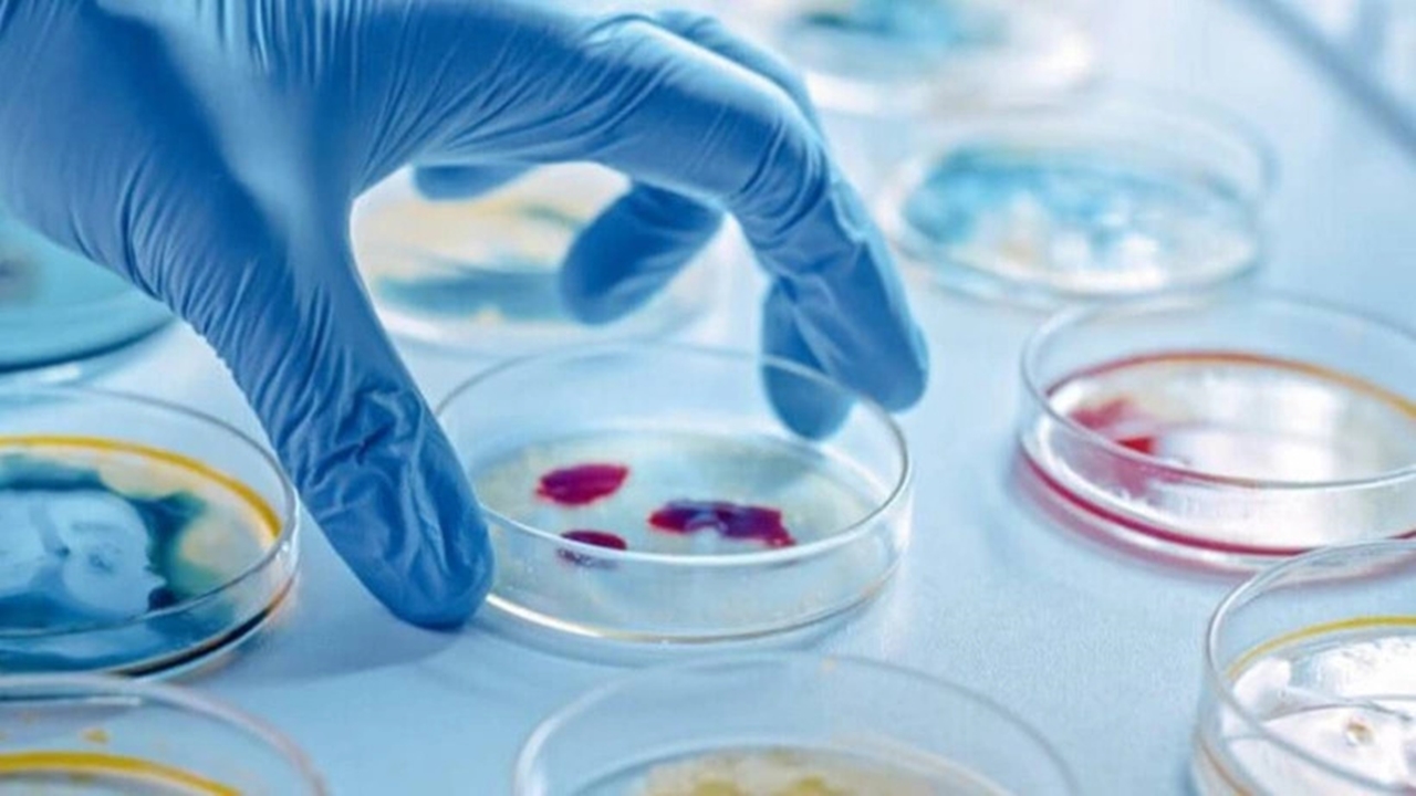 Antibiyotik direncinin tehdit ettiği 8 ölümlü bakteri
