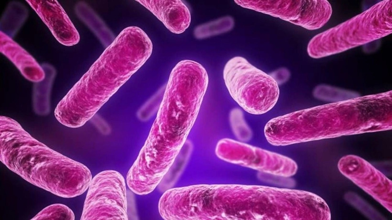 Antibiyotik direncinin tehdit ettiği 8 ölümlü bakteri