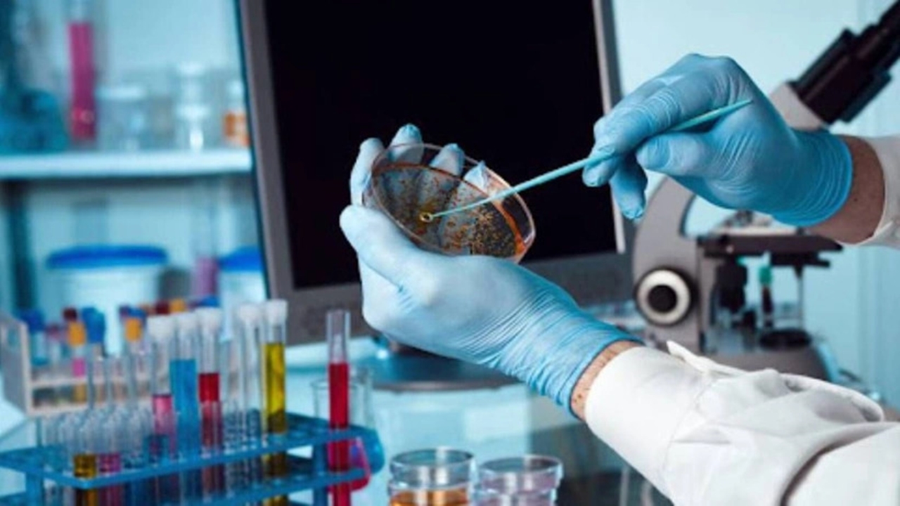 Antibiyotik direncinin tehdit ettiği 8 ölümlü bakteri