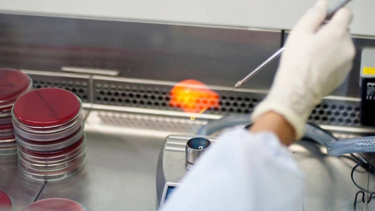 Antibiyotik direncinin tehdit ettiği 8 ölümlü bakteri