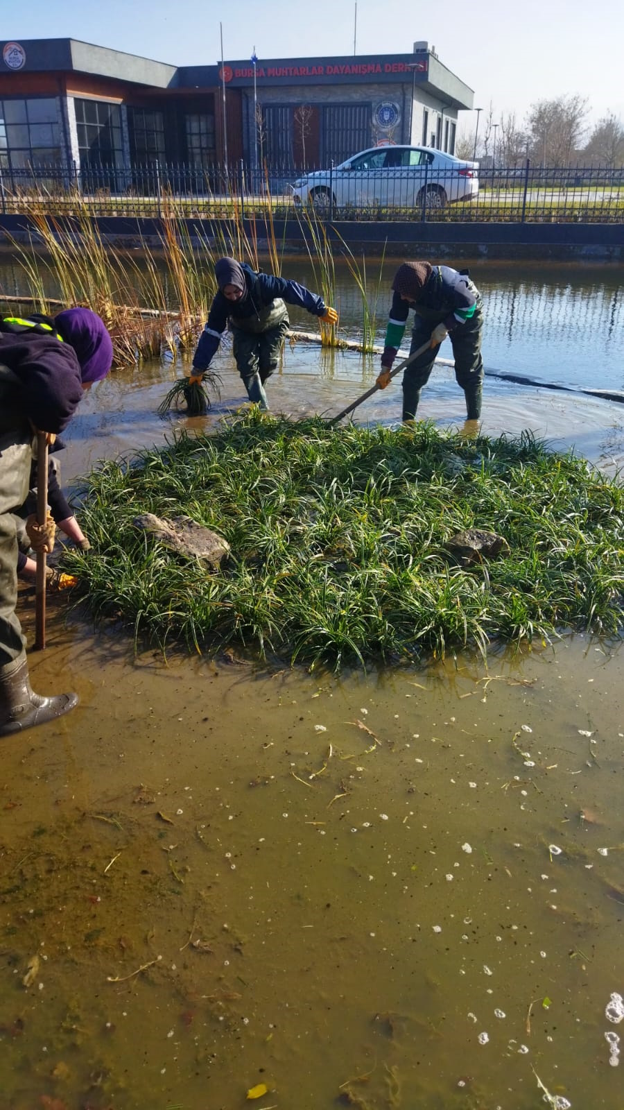 Bursa'nın Yeşil geleceği: Gökdere göleti iyileştiriliyor