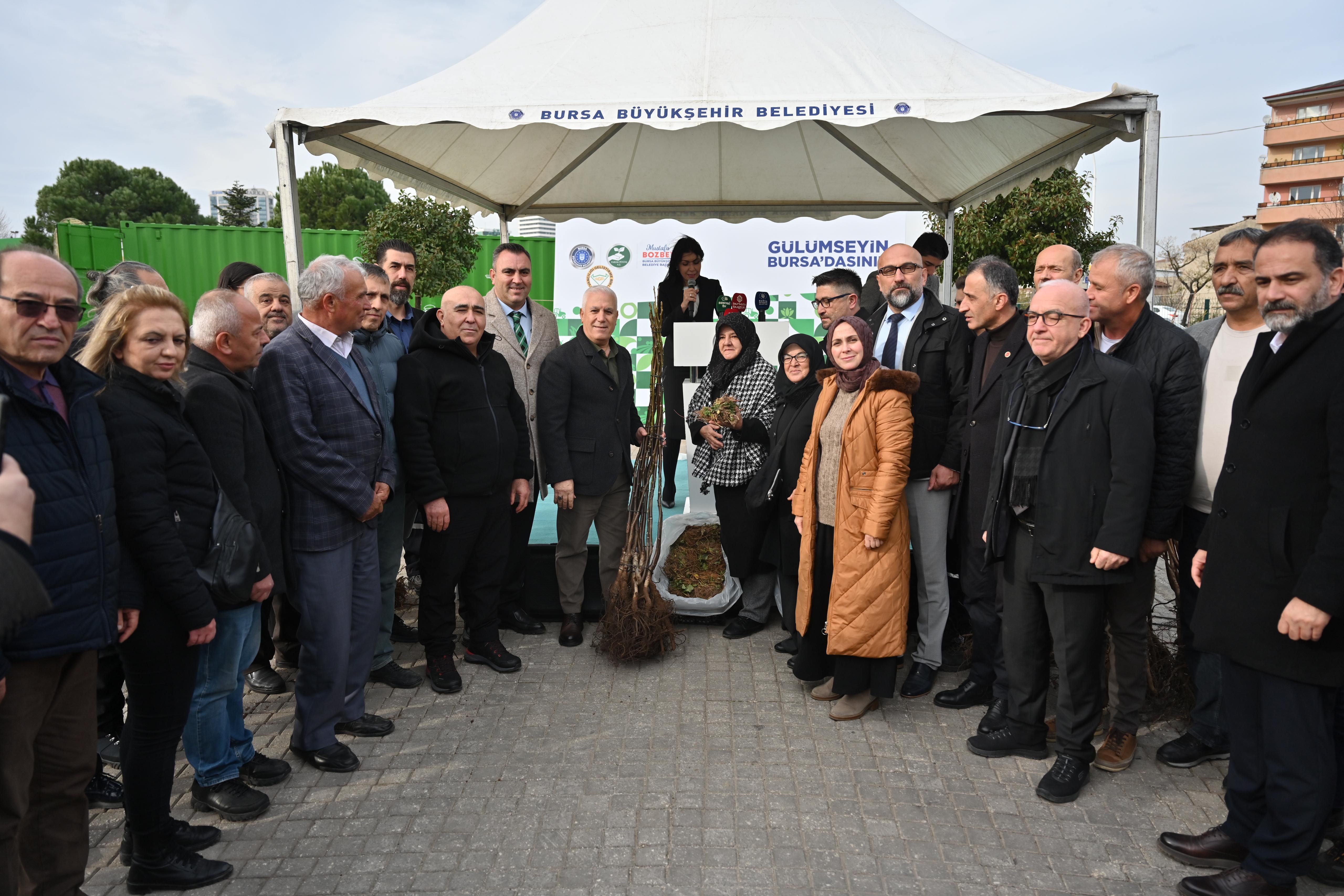 Bursa'da Tarıma dev destek: 74 bin fide ve fidan dağıtıldı
