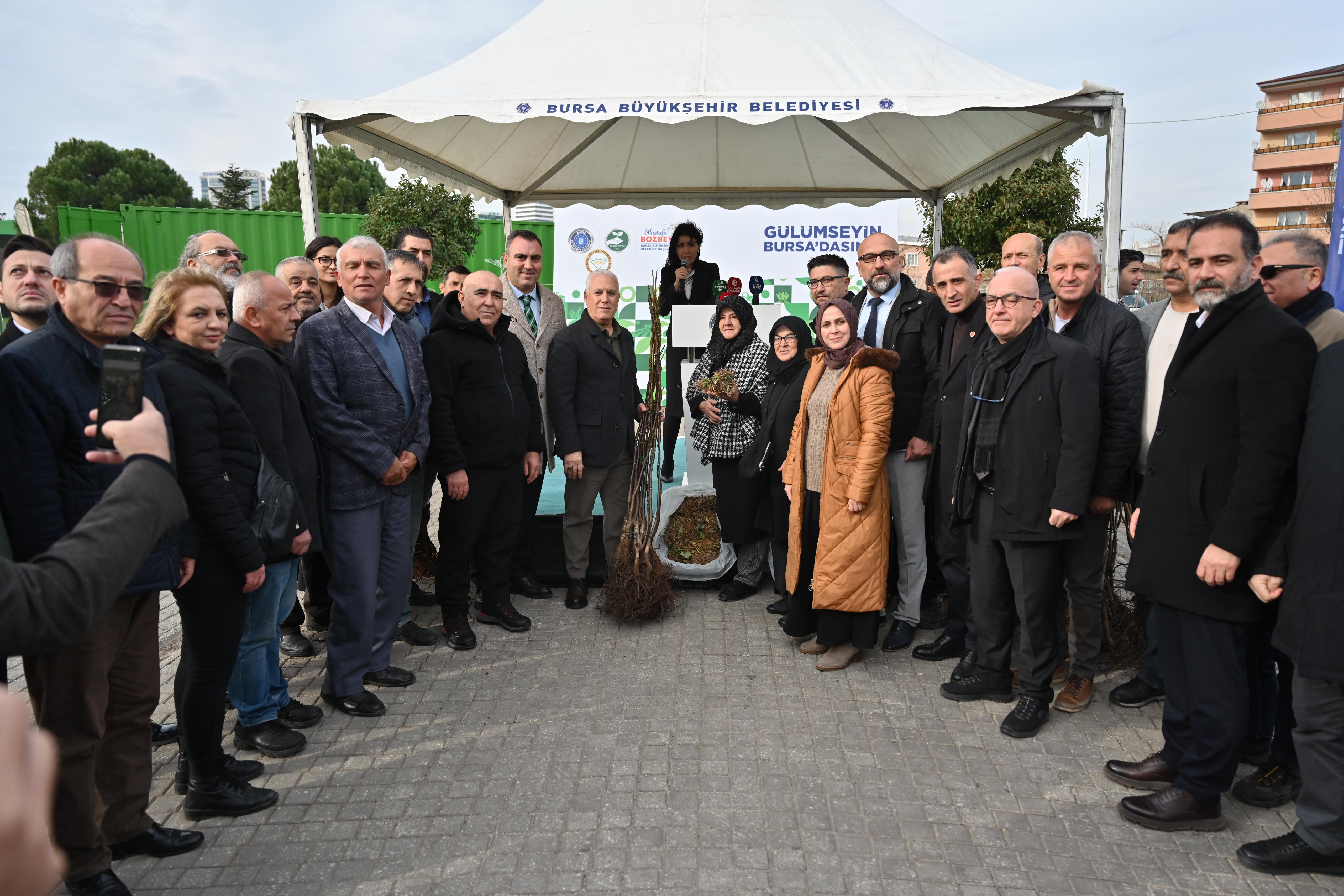 Bursa'da Tarıma dev destek: 74 bin fide ve fidan dağıtıldı