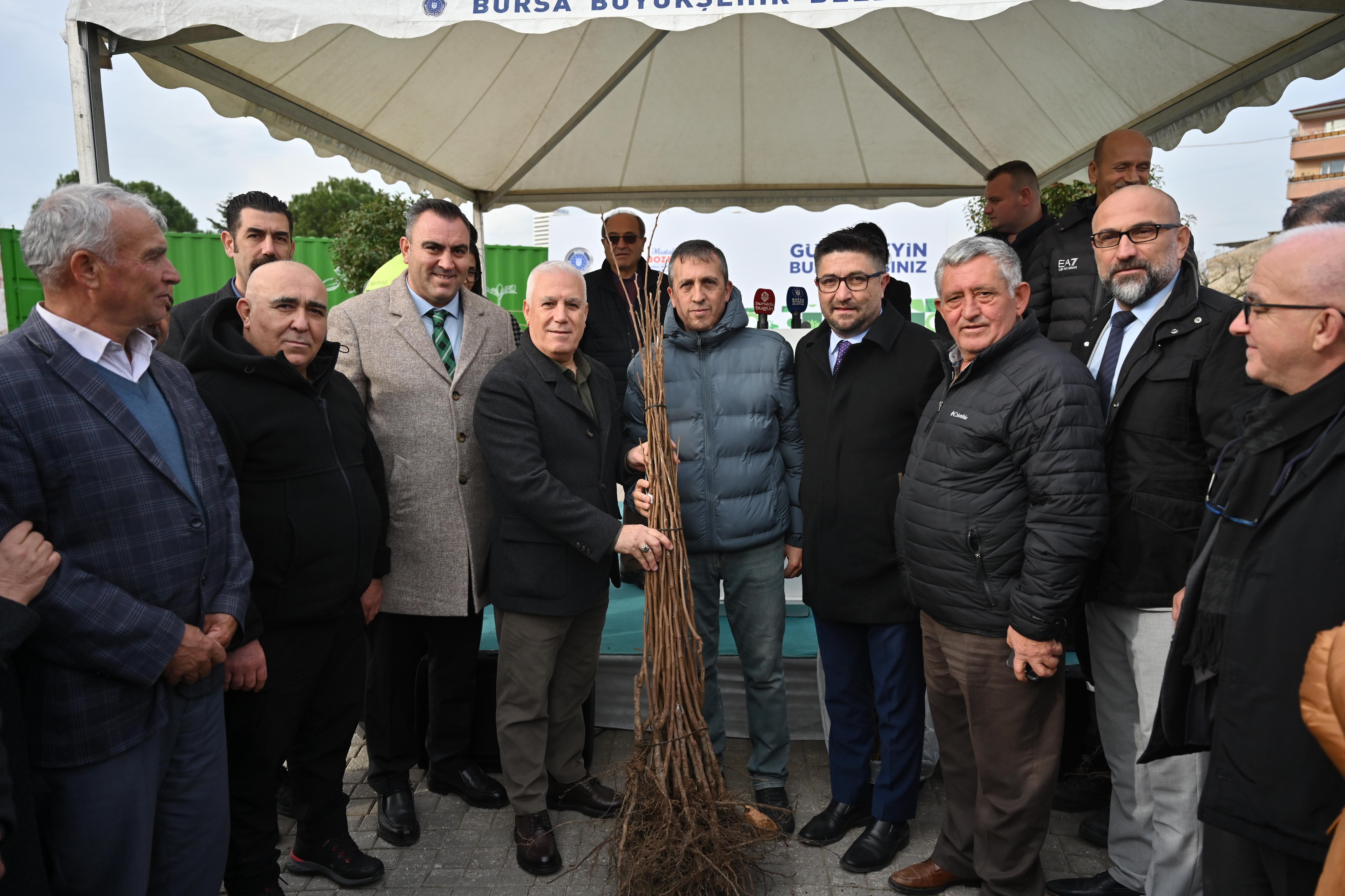 Bursa'da Tarıma dev destek: 74 bin fide ve fidan dağıtıldı