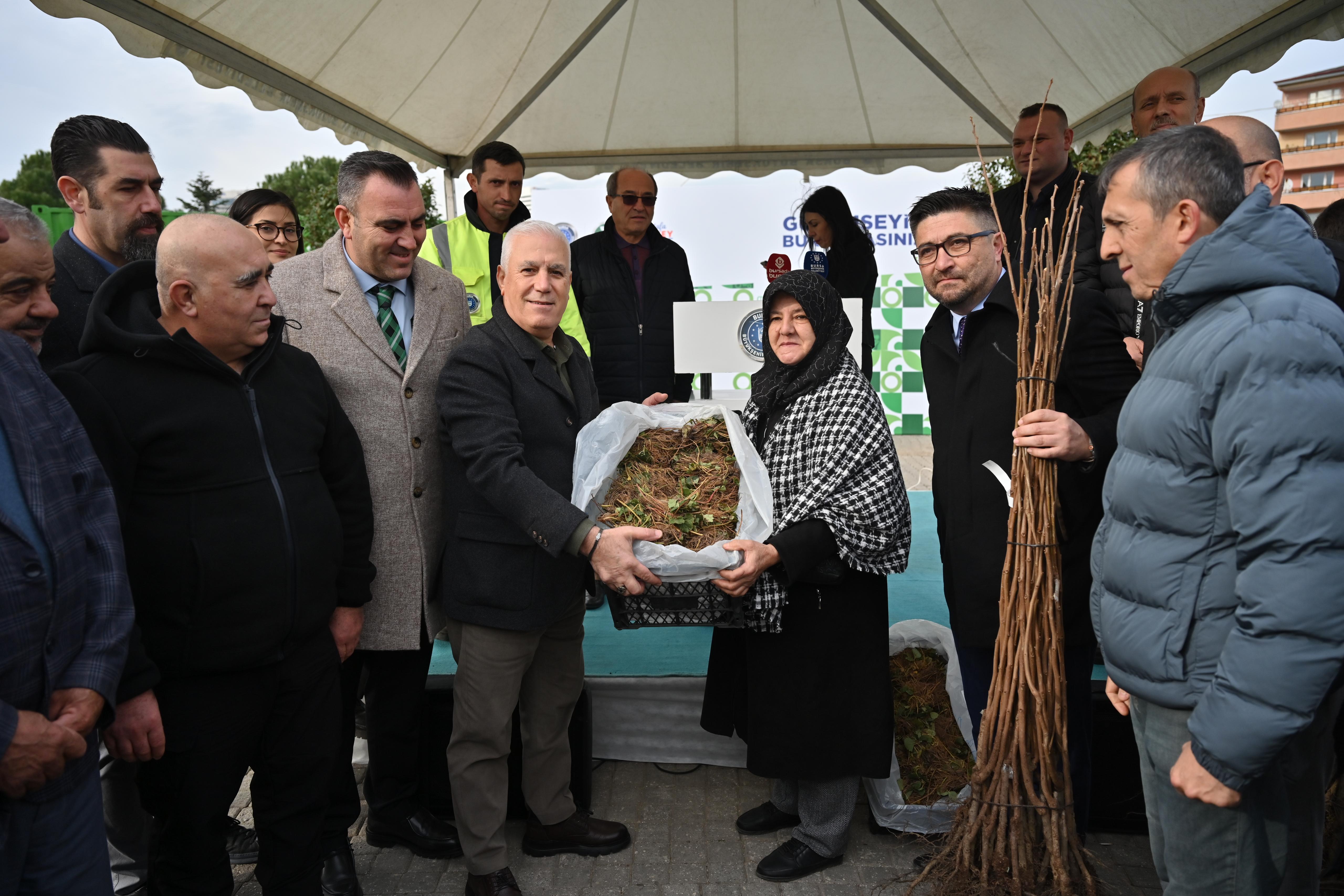 Bursa'da Tarıma dev destek: 74 bin fide ve fidan dağıtıldı