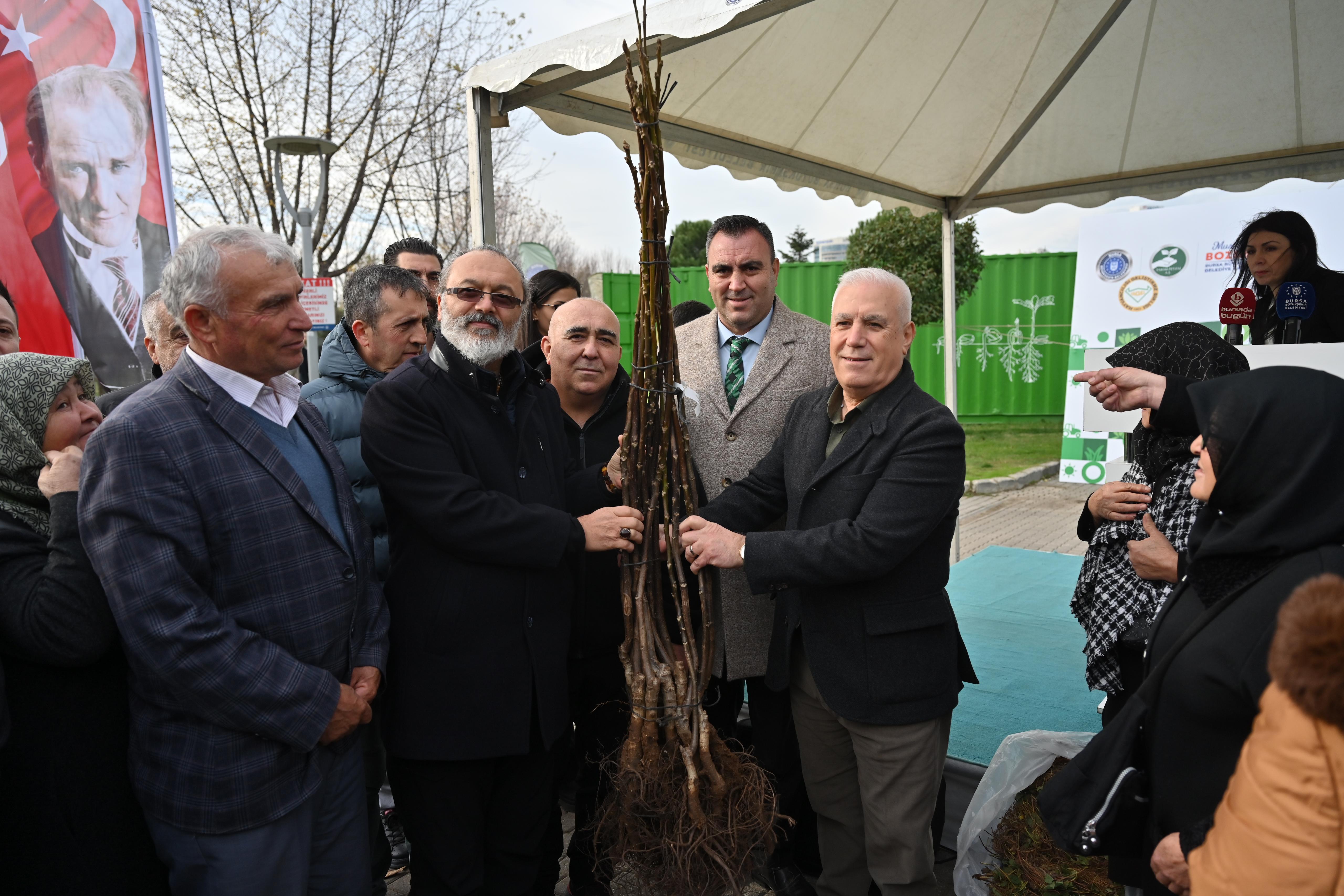 Bursa'da Tarıma dev destek: 74 bin fide ve fidan dağıtıldı