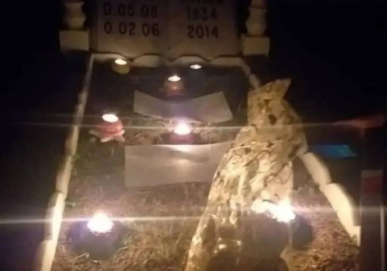 Medyum Ömer’in büyüsü: 100 bin lira dolandırılan iş kadını