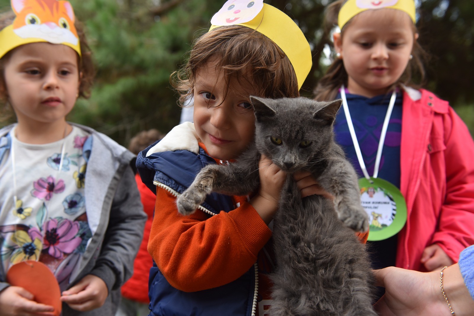 Yıldırım’dan Sokak hayvanlarına yeni bir hayat: Mutlu patiler başladı