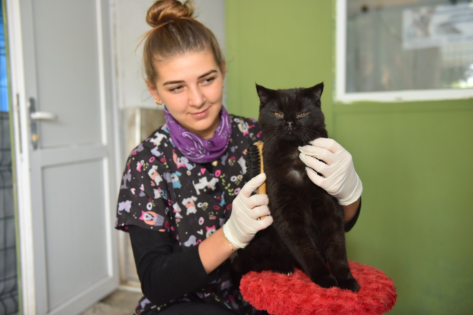 Yıldırım’dan Sokak hayvanlarına yeni bir hayat: Mutlu patiler başladı