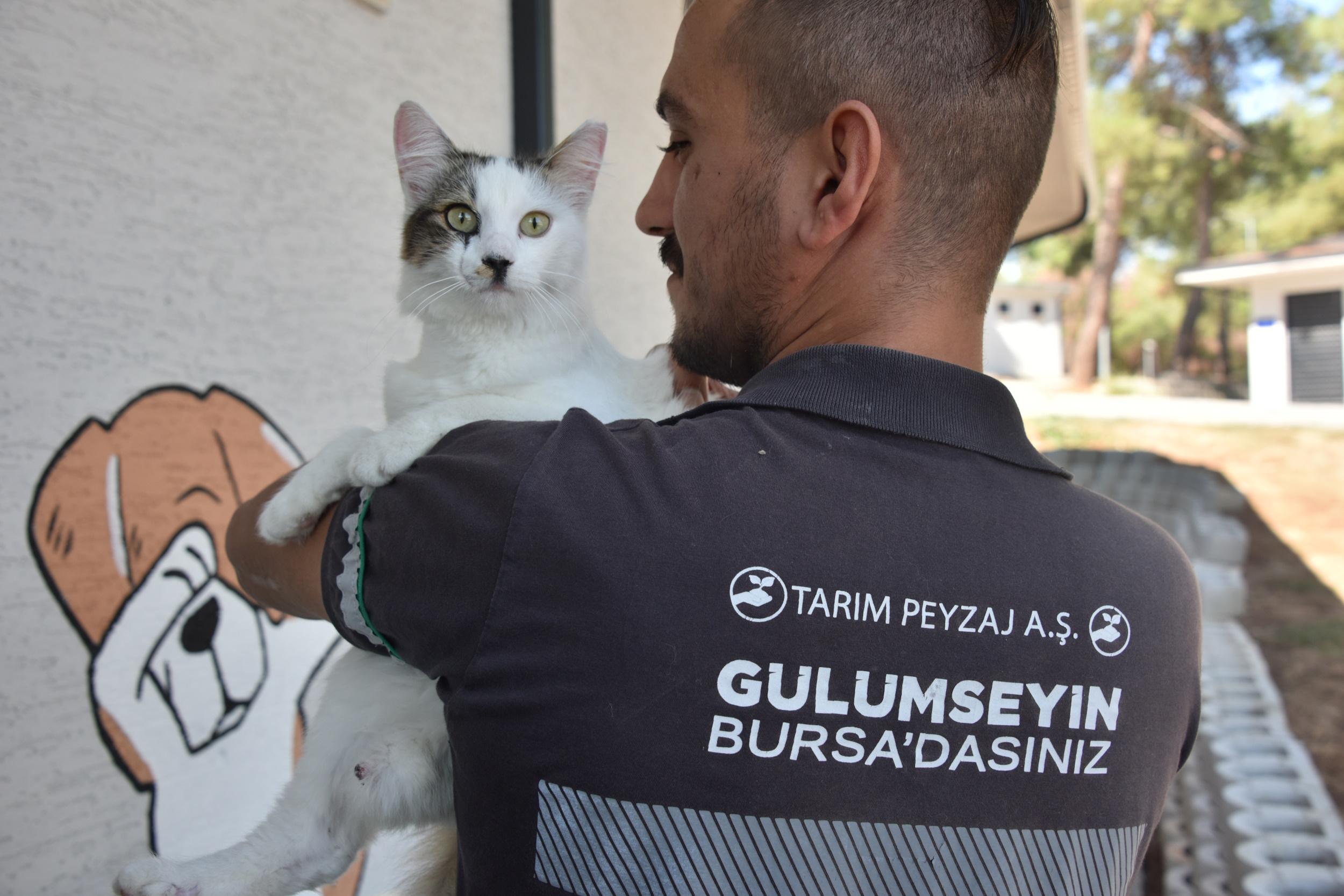 Bursa’da Sokak hayvanlarına umut: Yeni rehabilitasyon merkezi