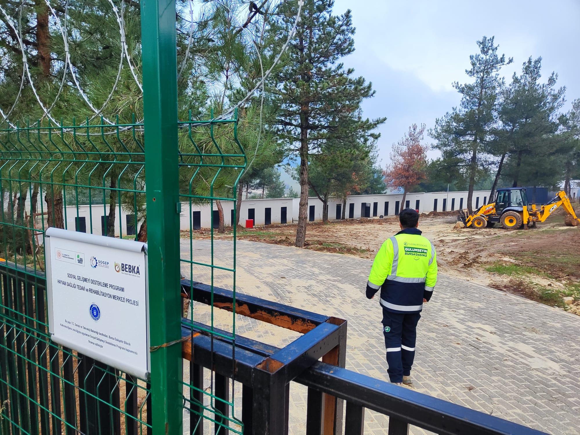 Bursa’da Sokak hayvanlarına umut: Yeni rehabilitasyon merkezi