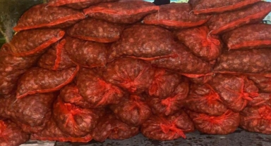 1,2 Ton Kum midyesi kaçakçılığı son anda engellendi