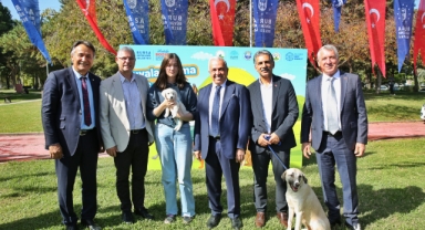 Can dostlar yeni yuvalarına kavuştu