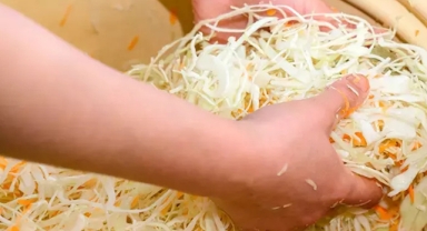 Hastalıksız kışın sırrı: Çiğ tüketin, Organlarınızı temizleyin