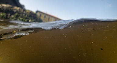 İzmir Körfezi için hızlı müdahale planı yürürlüğe girdi