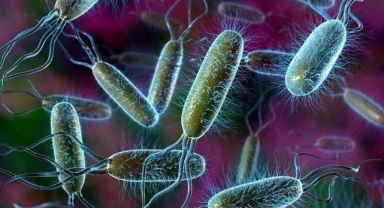 Antibiyotik direncinin tehdit ettiği 8 ölümlü bakteri