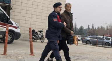Bursa'da yasadışı kenevir yetiştiren 73 yaşındaki şahsı yakaladı