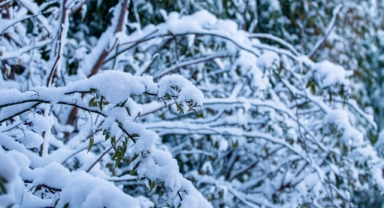 Meteoroloji'den 7 ilde Kar ve Yağmur uyarısı: Soğuk hava geliyor