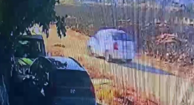 Otomobiliyle gözünün önündeki köpeğin üzerinden geçti
