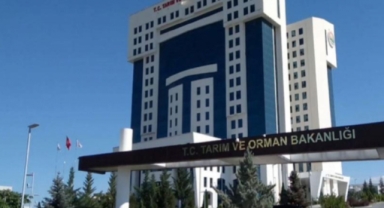 Tarım ve Orman Bakanlığı kıymada kanatlı eti tespit edilen yerleri ifşa etti!