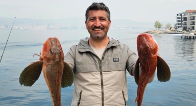 Amatör balıkçı toplam 6 buçuk kiloluk 2 balık yakaladı, o anlar kamerada
