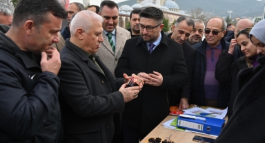 Bursa'da Tarıma dev destek: 75 bin fide ve fidan dağıtıldı