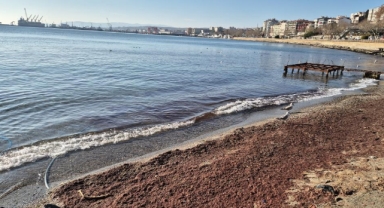 Marmara Denizi'nde lodos sonrası kıyılara kızıl yosun vurdu