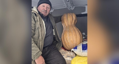 Sinop'ta 55 kilogramlık bal kabağı yetiştirildi