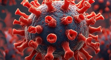 HMPV salgını endişe yaratıyor: Hijyen ve sosyal mesafe uyarıları