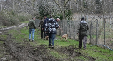 Karacabey'de Firar eden Ayı için yoğun arama çalışmaları sürüyor