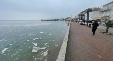 Mudanya'yı müsilaj sardı
