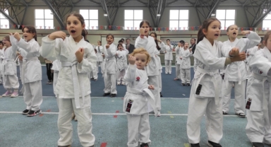 Osmangazi’de karate eğitim semineri