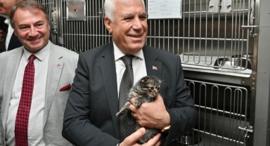 Bursa’da Sokak hayvanlarına umut: Yeni rehabilitasyon merkezi