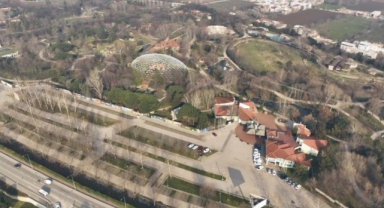 Uykusu kaçan ayılar, 9 kiloluk levrekleri afiyetle midelerine indirdi