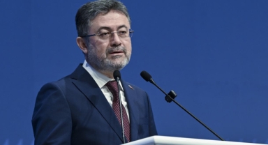 Bakan Yumaklı: Sokaklar başıboş köpekler için uygun değil