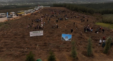 Minik elleriyle fidanları toprakla buluşturdular