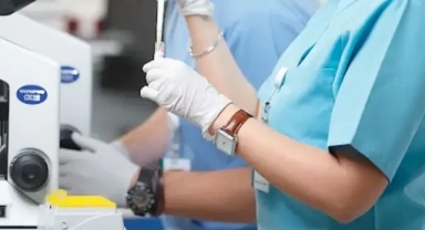 ABD’ye Yapılan Yumurta Bağışlarıyla İlgili Klinik Mesajları Gündemde