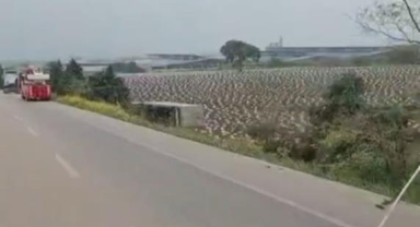 Kontrolden çıkan tır tarlaya uçtu