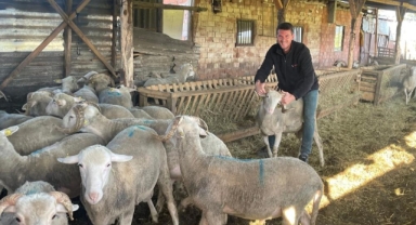 Kurbanlıkları satıp kazancıyla Temmuz ayında evlenecek