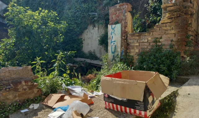 Osmangazi'de Kentsel Dönüşüm Tartışmaları: Kuruçeşme ve Sakarya Caddesi Mahalle Sakinlerinin Gündeminde