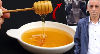 'Deli bal'ı fazla kaçırdı, ölümle burun buruna geldi!