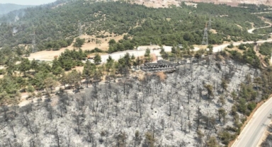 Gürsu'da ağaçlandırma seferberliği için devlet hızla adım atacak