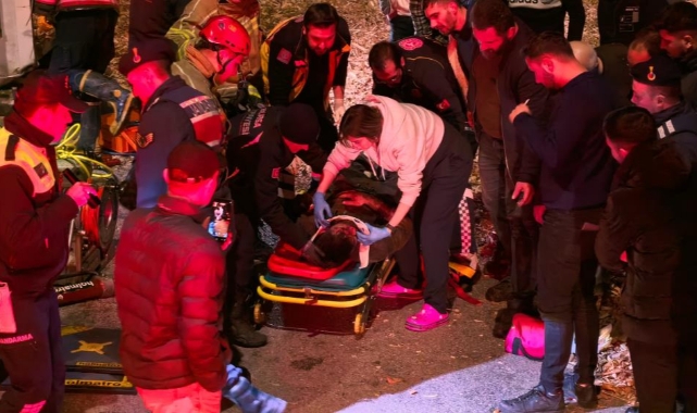Bursa'da talaş yüklü tır devrildi