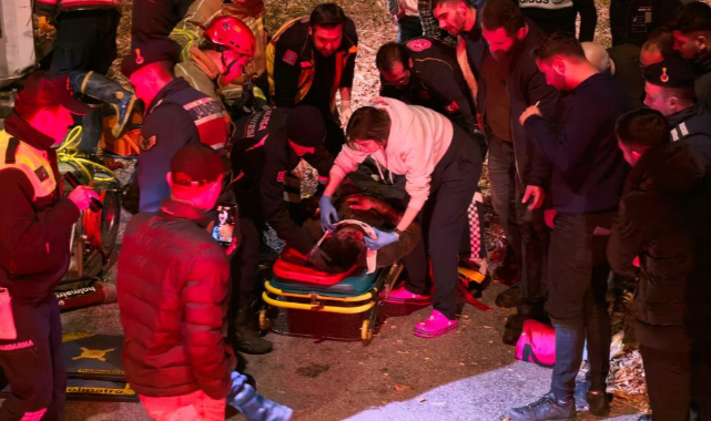 Bursa'da talaş yüklü tır devrildi